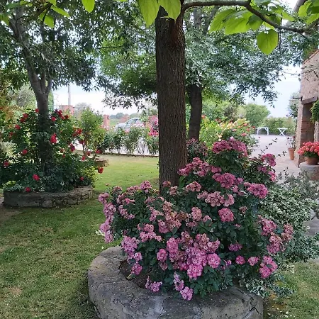 Toscana La Mucchia Country house Cortona