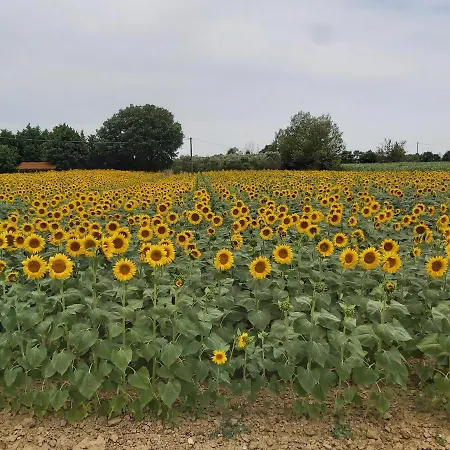 Toscana La Mucchia * 코르토나