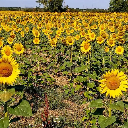 Toscana La Mucchia * 코르토나