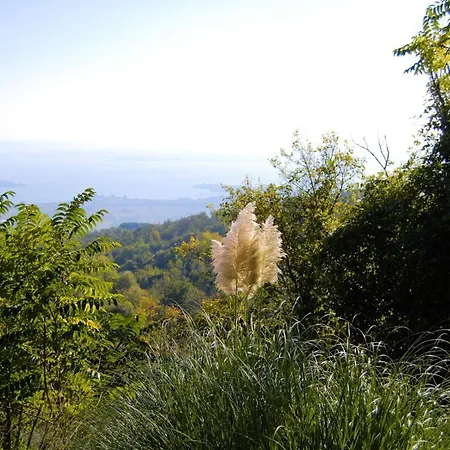 乡村民宿 Toscana La Mucchia
