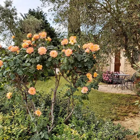 Toscana La Mucchia *