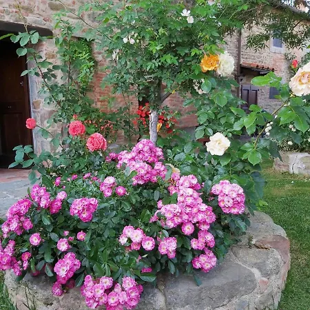 Toscana La Mucchia * 코르토나